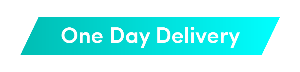 One day delivery